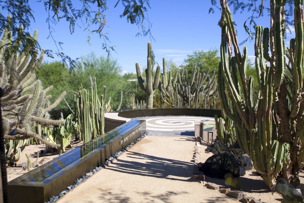 Featured Venue Desert Botanical Garden Casey Green Weddings