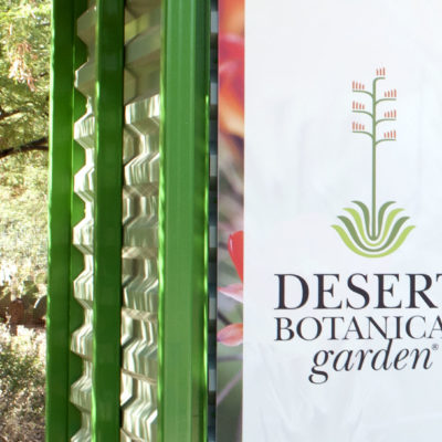 Desert Botanical Garden Wedding Venue Casey Green Weddings Scottsdale Arizona