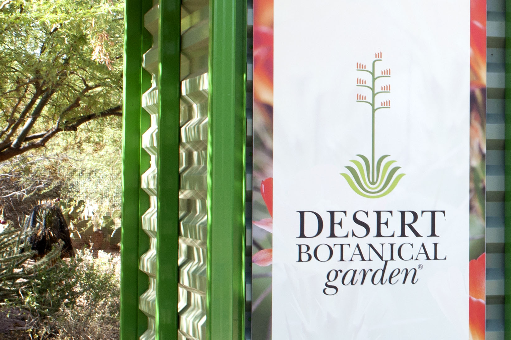 Featured Venue: Desert Botanical Garden